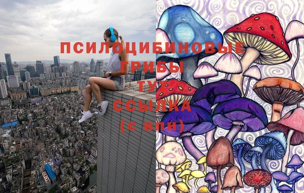 ГАЛЛЮЦИНОГЕННЫЕ ГРИБЫ Бородино