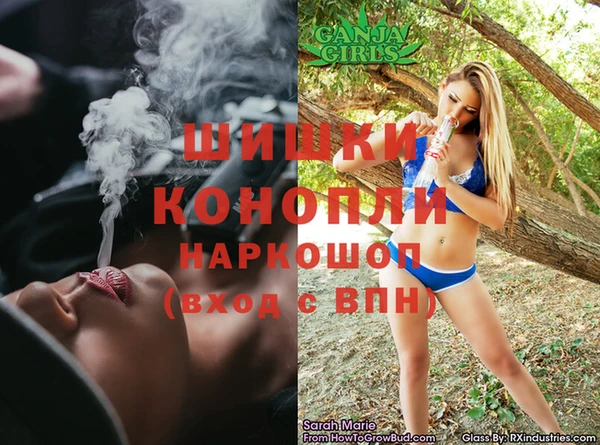 ГАЛЛЮЦИНОГЕННЫЕ ГРИБЫ Бородино