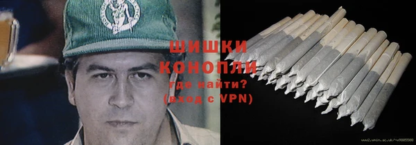 ГАЛЛЮЦИНОГЕННЫЕ ГРИБЫ Бородино