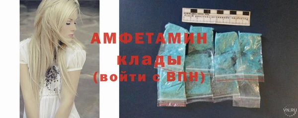 ГАЛЛЮЦИНОГЕННЫЕ ГРИБЫ Бородино