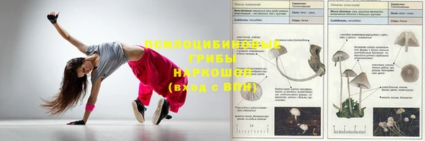 сатива Бугульма