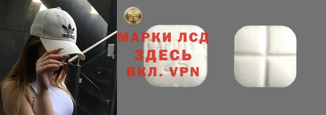 ГАЛЛЮЦИНОГЕННЫЕ ГРИБЫ Бородино
