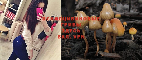 ГАЛЛЮЦИНОГЕННЫЕ ГРИБЫ Бородино