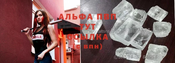 ГАЛЛЮЦИНОГЕННЫЕ ГРИБЫ Бородино